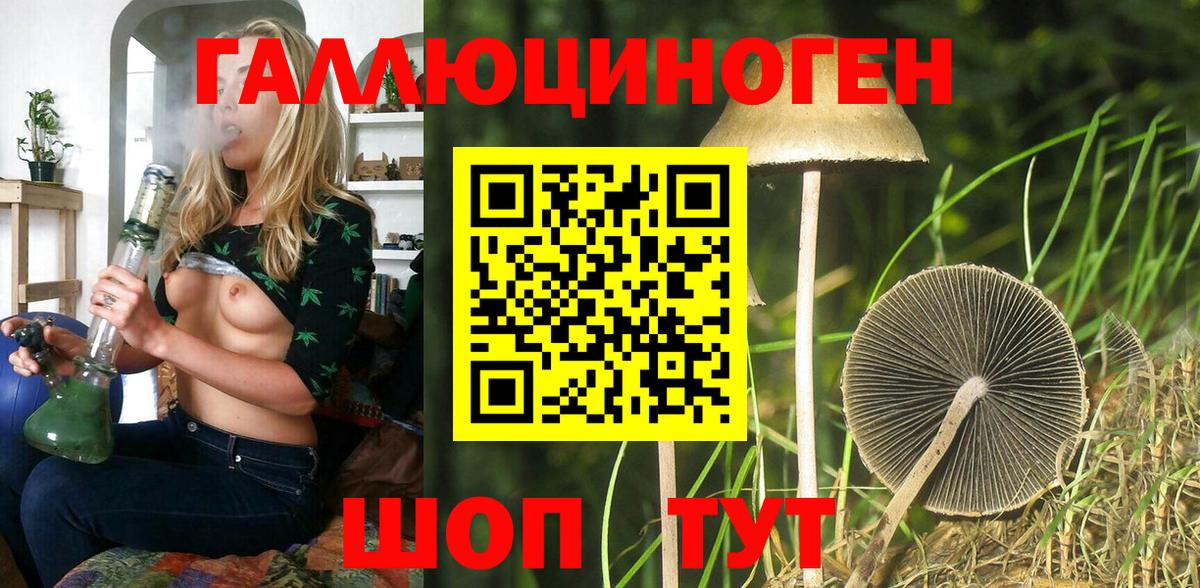 Электрогорск  Псилоцибиновые грибы ЛСД  что такое   Вход с VPN  Псилоцибиновые грибы Psilocybe 