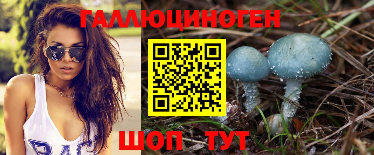 Псилоцибиновые грибы мухоморы Электрогорск